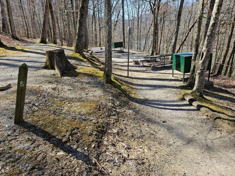 Campsite number 5 at Alum Ford Campground. Campsite 6 is in background.