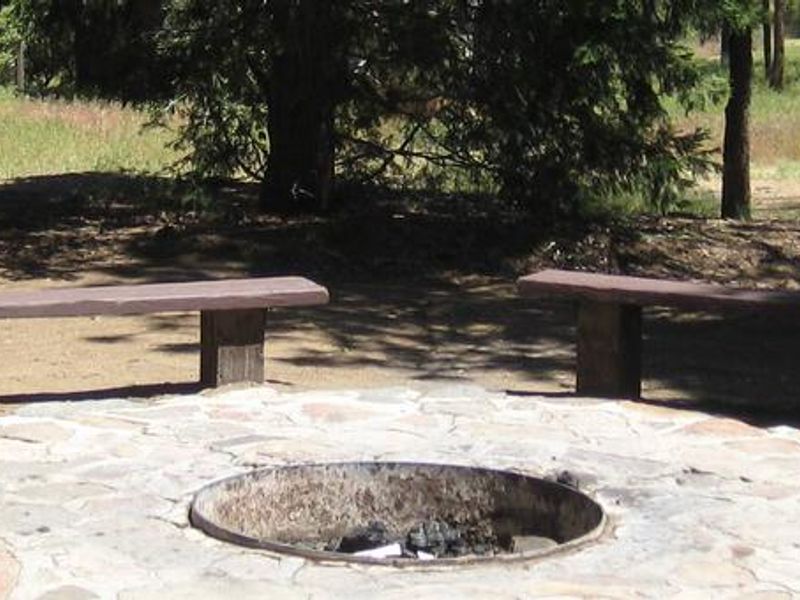 Wooded Hill Group Campground