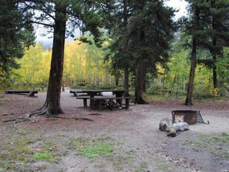 Shaded campsite with picnic table and fire pit