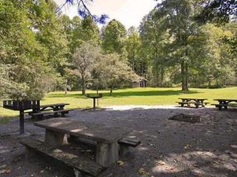 Picnic area with fire ring and grills. 