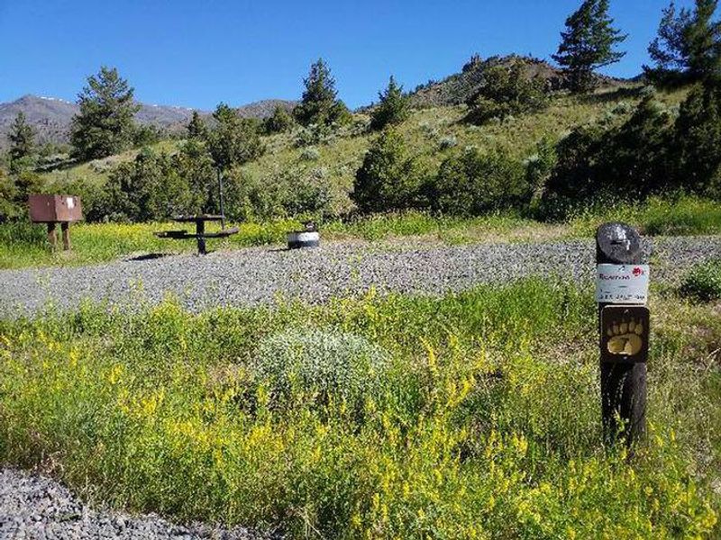 Rex Hale Campground campsite open area