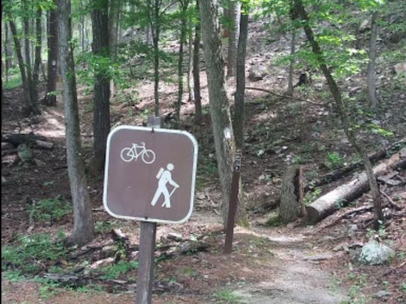 The connector trail from Charlton Campground to Forest Service Road #47/Pipe Spring connects to the Lake Ouachita Vista Trail (LOViT), a hiking and mountain bike trail that traverses the southern boundary of Lake Ouachita.