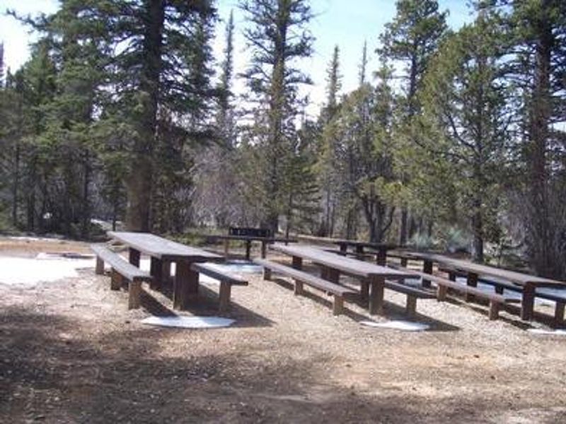 Yellow Pine Group Campsite