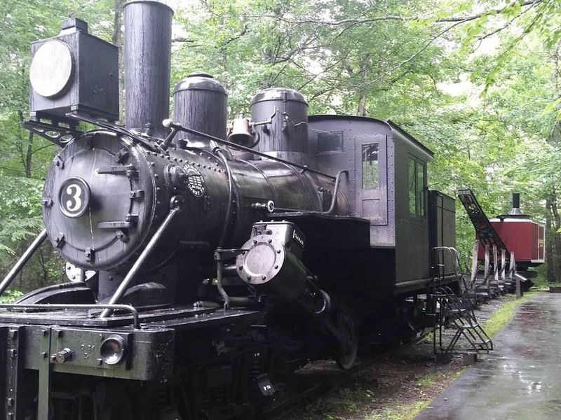 The Cradle of Forestry, a nearby attraction which centers on the history of forestry conservation, has miles of interpretative trails, hands-on activities, and a Forestry Discovery Center.