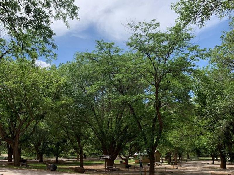 Facing West, Sites 19-50 in Loop B.