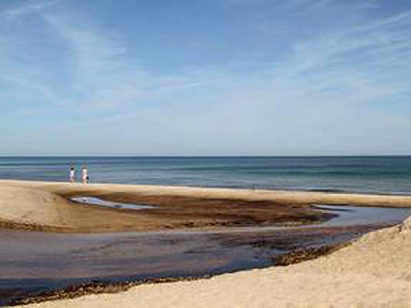Lakeview area in Indiana Dunes National Park.