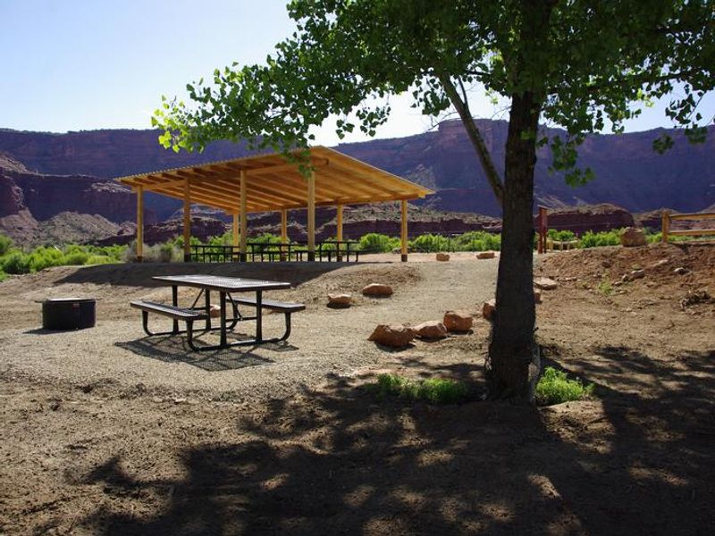 Picnic table, fire ring, shade shelter.