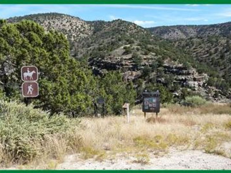 Just steps from the front door is the Kanab Creek Wilderness area