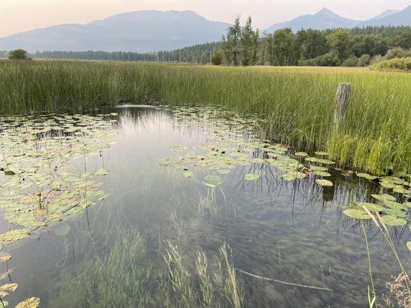 Wildlife refuge neighboring boundary , within walking distance