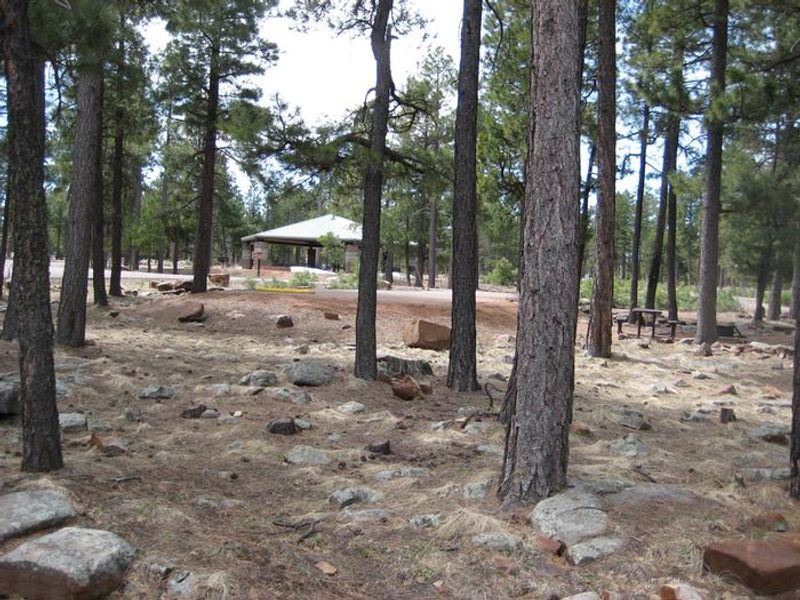 Crook Campground offers two group loops with Ramadas. Each loop can be reserved separately for groups up to 125 or both loops together for larger groups.  