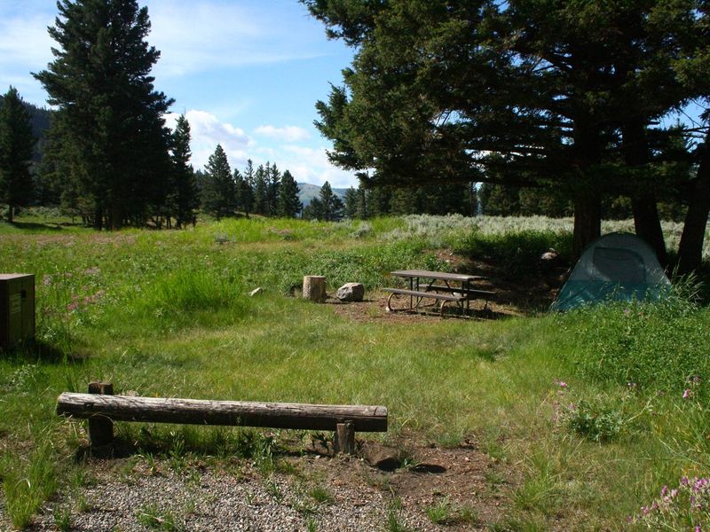 Slough Creek Campground Site #8