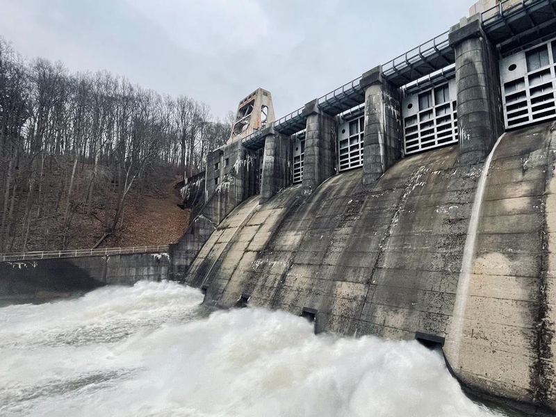 Bush Recreation Area 