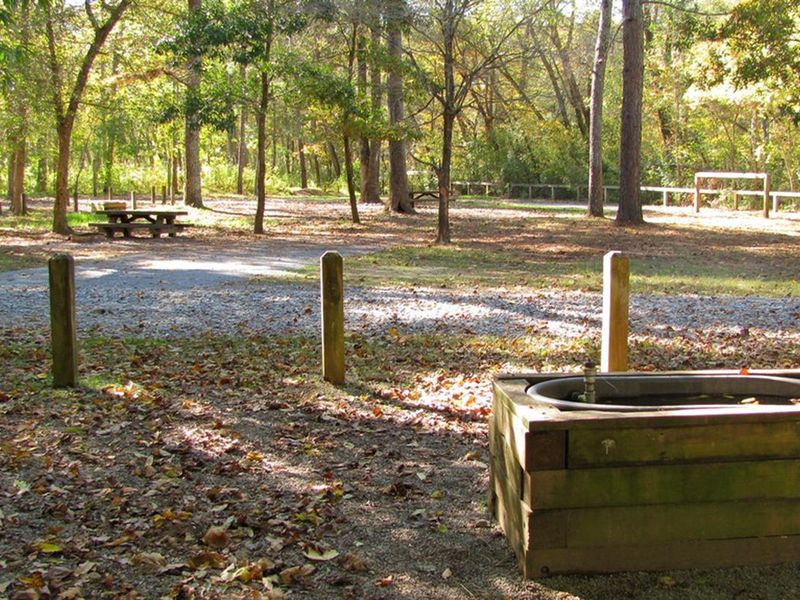 Cottonwood Patch Campground with horse trough