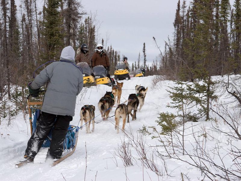 White Mountains trails are multi-use, and visitors have a long history of sharing the trails with other users.