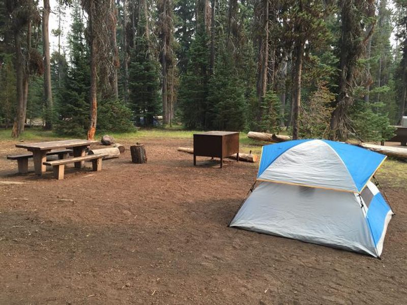 A tent campsite at Mazama Village Campground