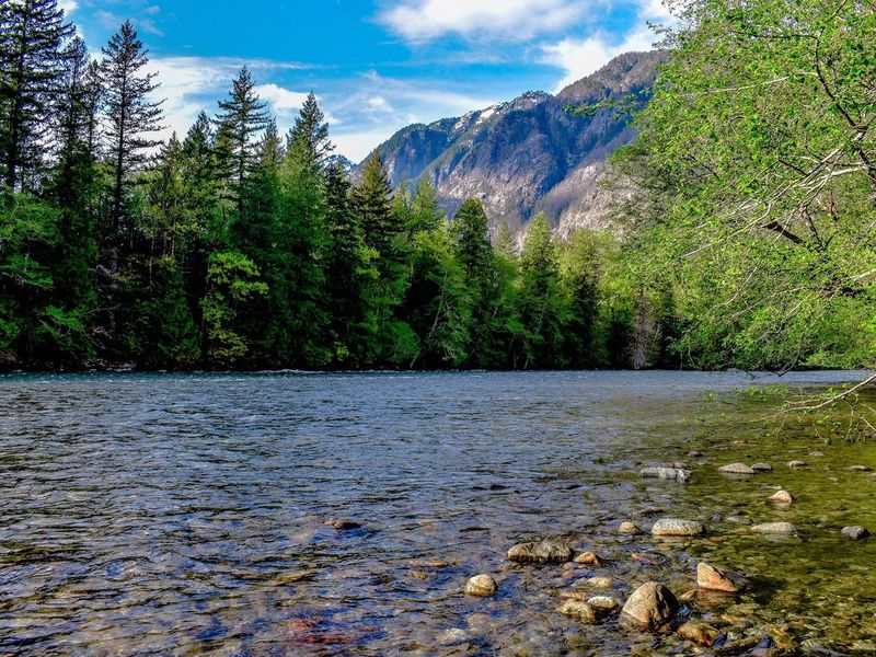 Several of the trails near the Campground follow the banks of the Skagit River for a distance