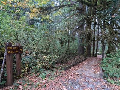 Trail