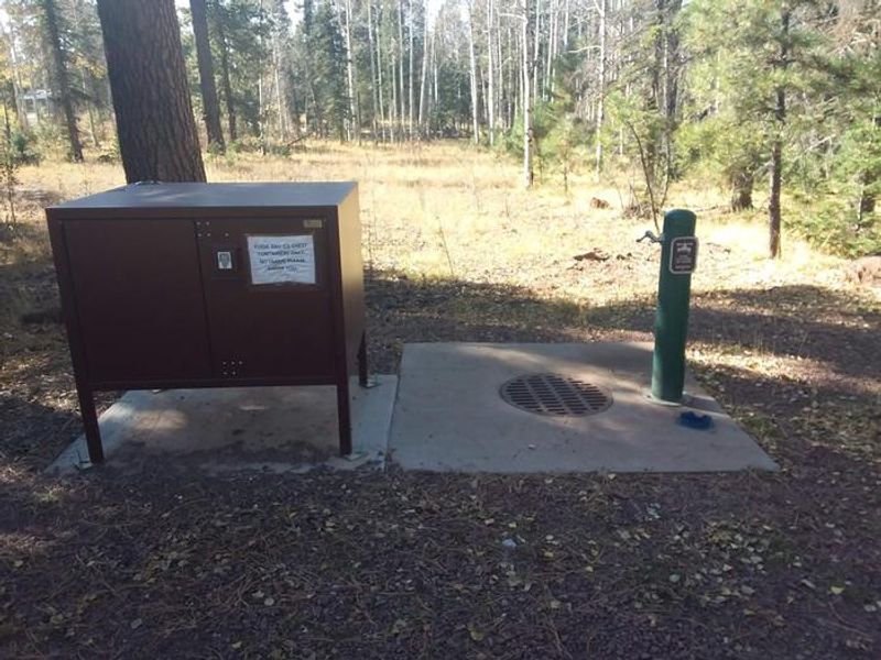 Apache Trout Campground water and bear box