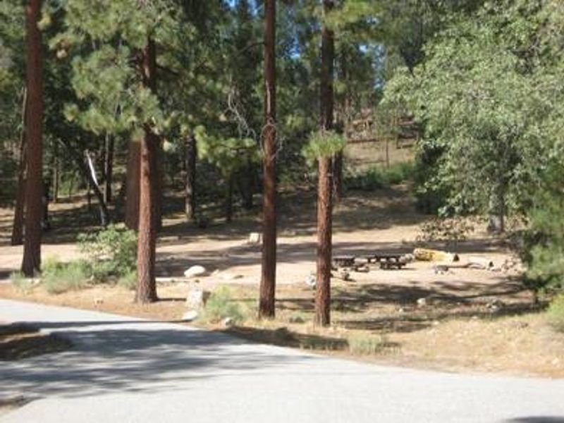 Barton Flats Campground Picnic Tables
