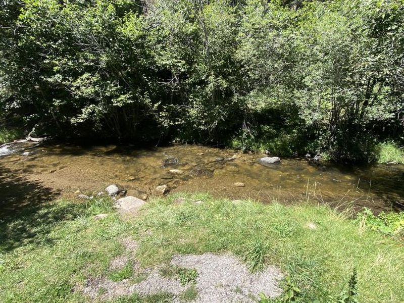 Trail in campsite runs by Holy Ghost Creek