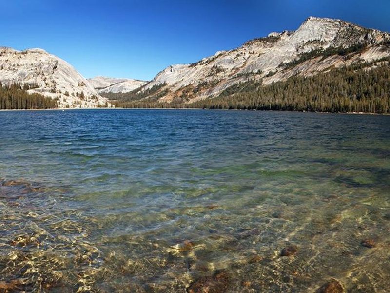 Tenaya Lake
