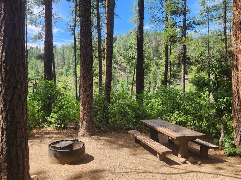 Picnic table and fire ring nestled amongst Ponderosa pines