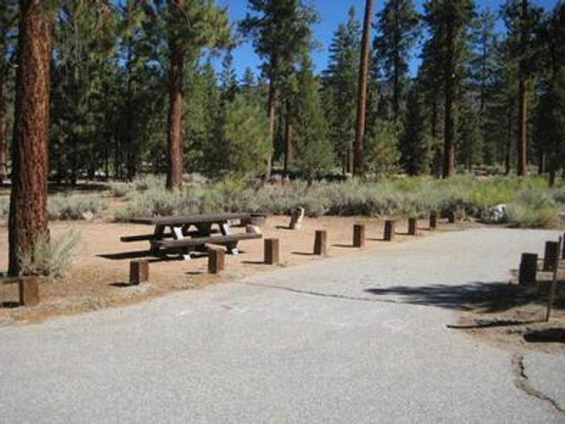 Heart Bar Campground Picnic Tables