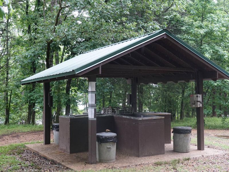 Fish Cleaning Station