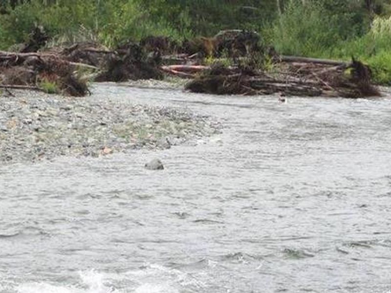 Beaver Creek Campground