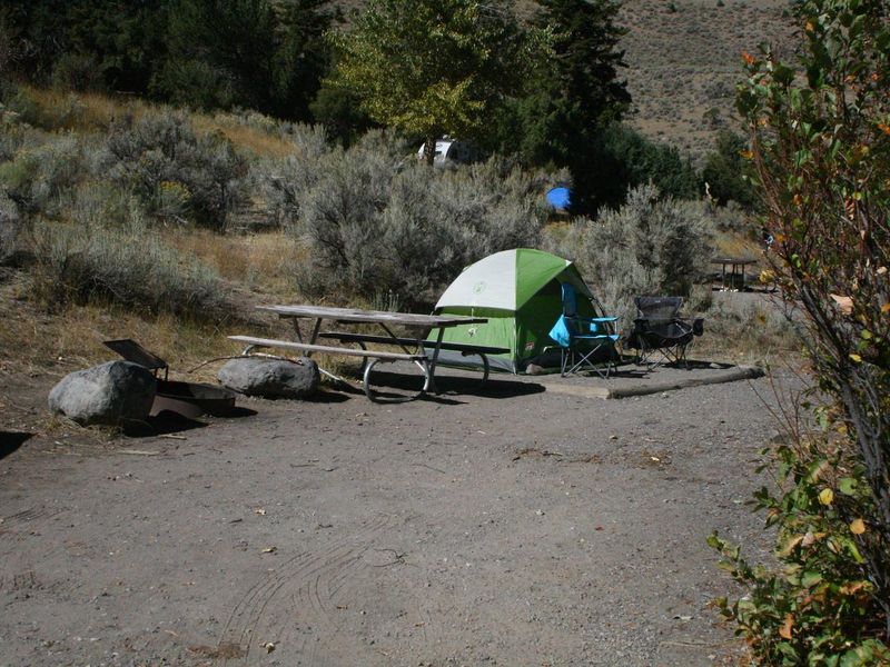 Mammoth Campsite #80