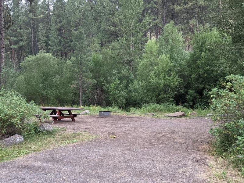 Lafferty Campground Site #8.