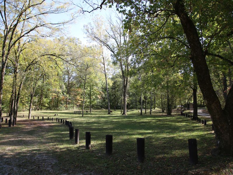 Campsites further from the river offer woodland views and more room.