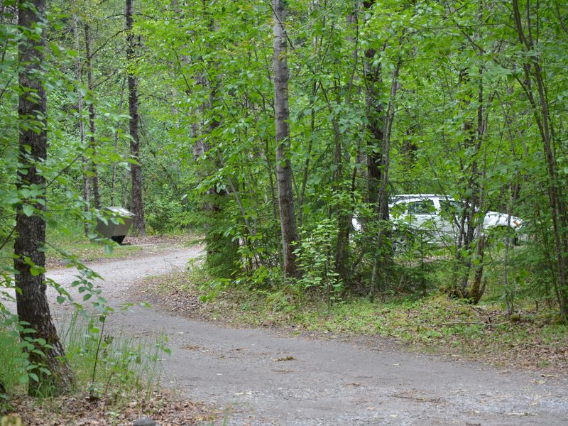 The Dyea Campground is nestled in the trees along the banks of the Taiya River.