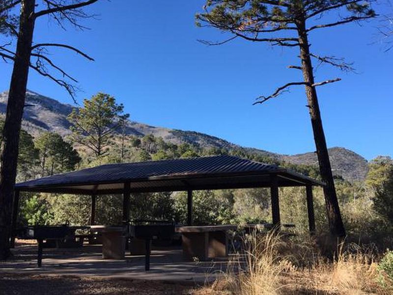 Looking west from group site