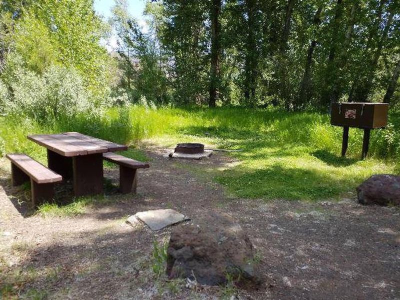 Campsite area with shade