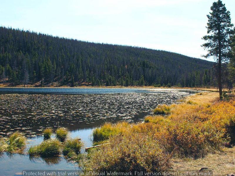 Bridger Lake Campground