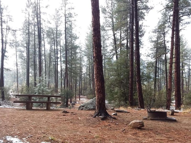 White Spar Campsite on a Misty Morning
