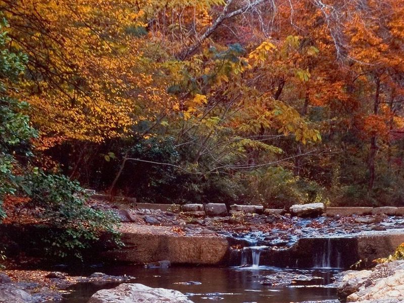 Fall colors over Gulpha Creek