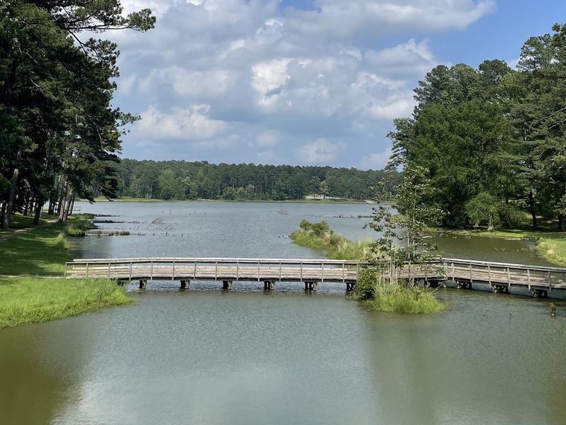 Photo looking across Choctaw Lake 