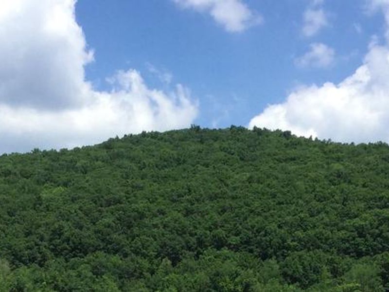 Camping at WIllow Bay