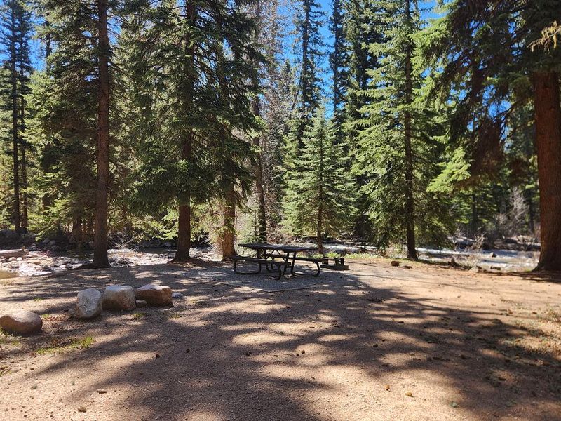 First-come Family camp site located along Florida River with picnic table and fire ring