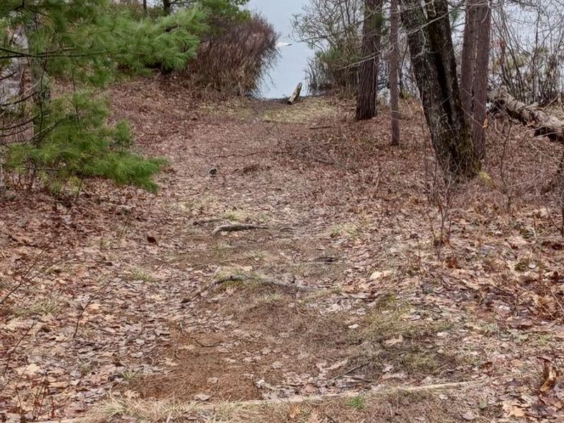 Path to the water, Steep slope