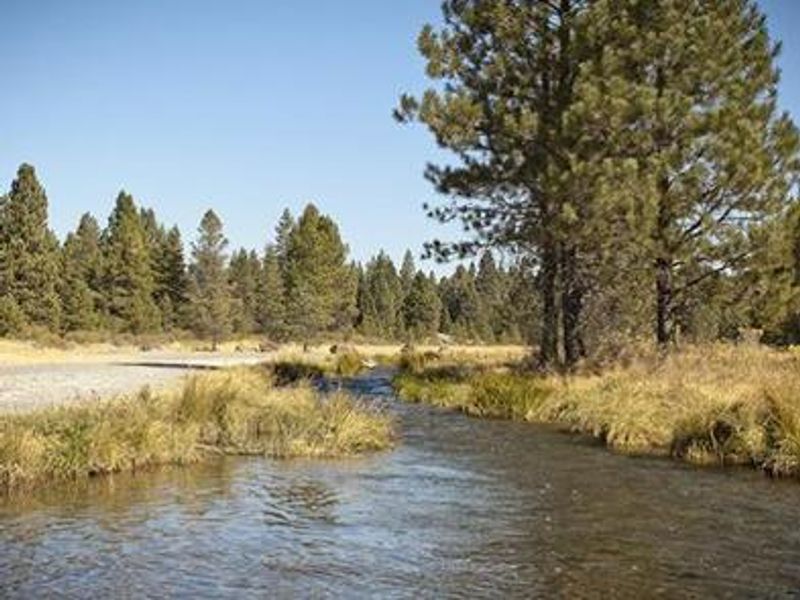 OGDEN GROUP CAMPGROUND