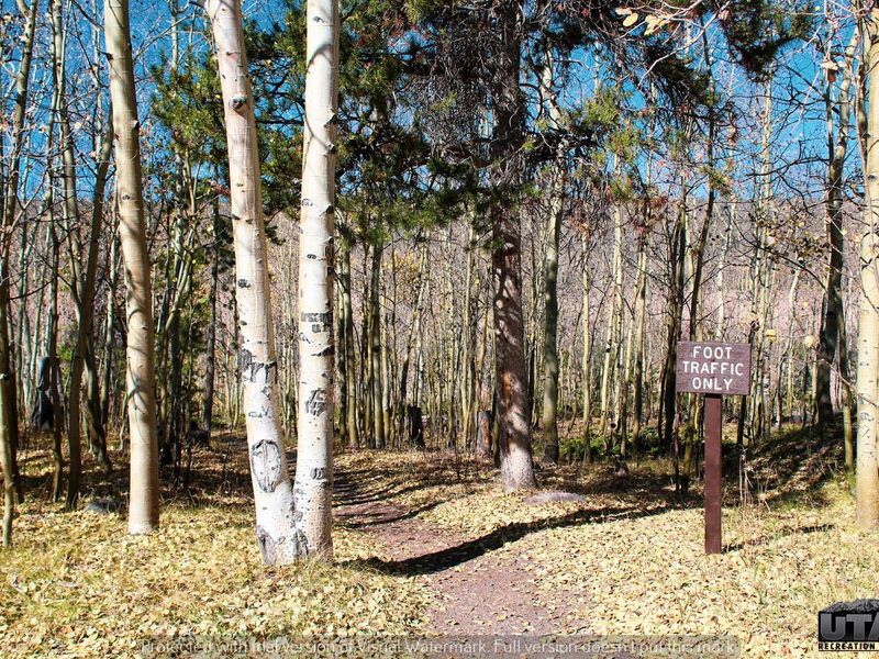 Stateline foot traffic only