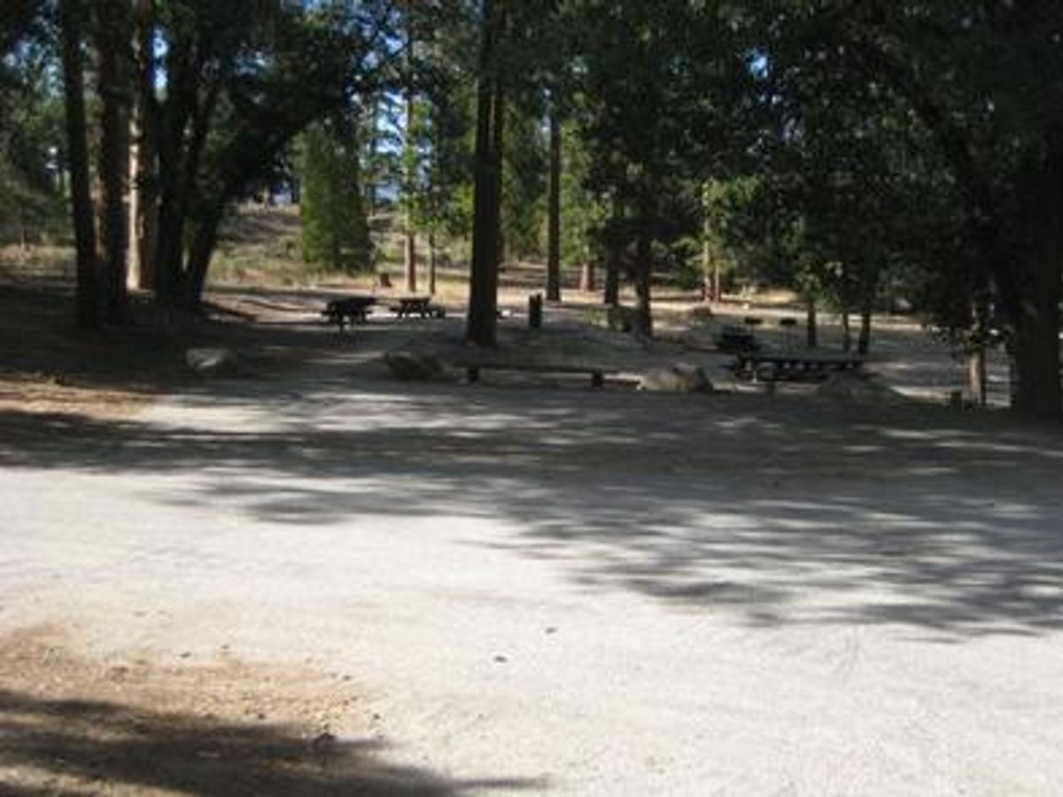 Council photo 2