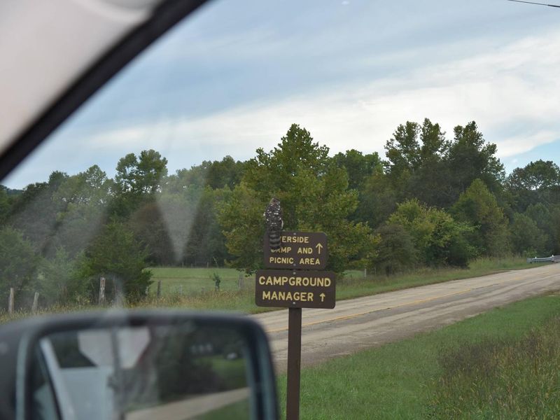 Hawk Perched on Sign at Silver Mines