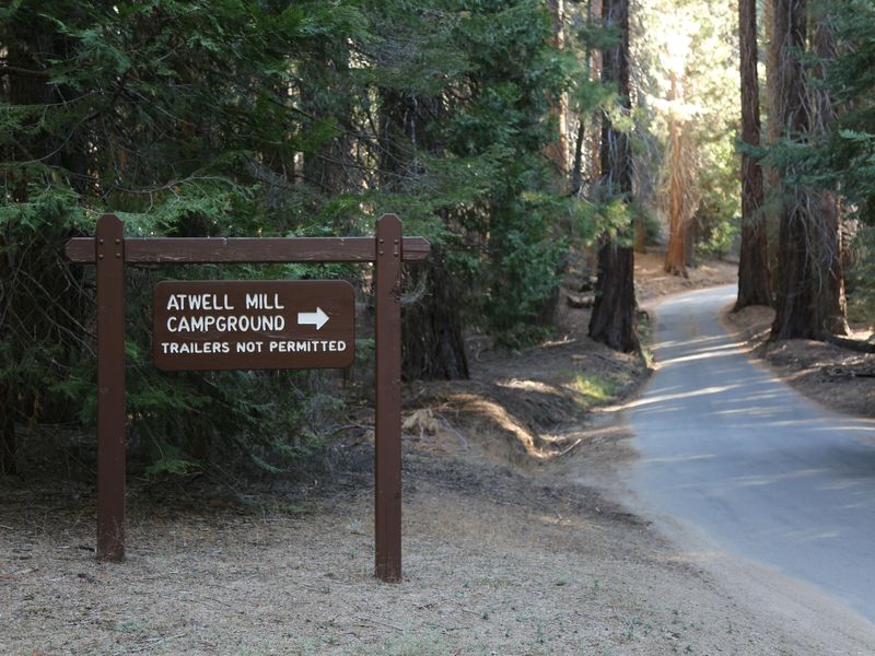 The roads leading to the campground are extremely narrow and winding.