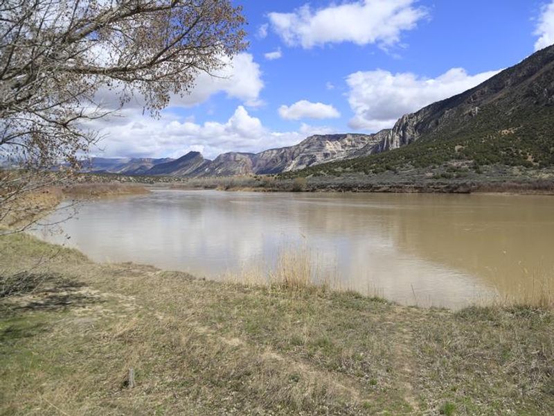 Rainbow Park campground sits on the Green River in Dinosaur NM