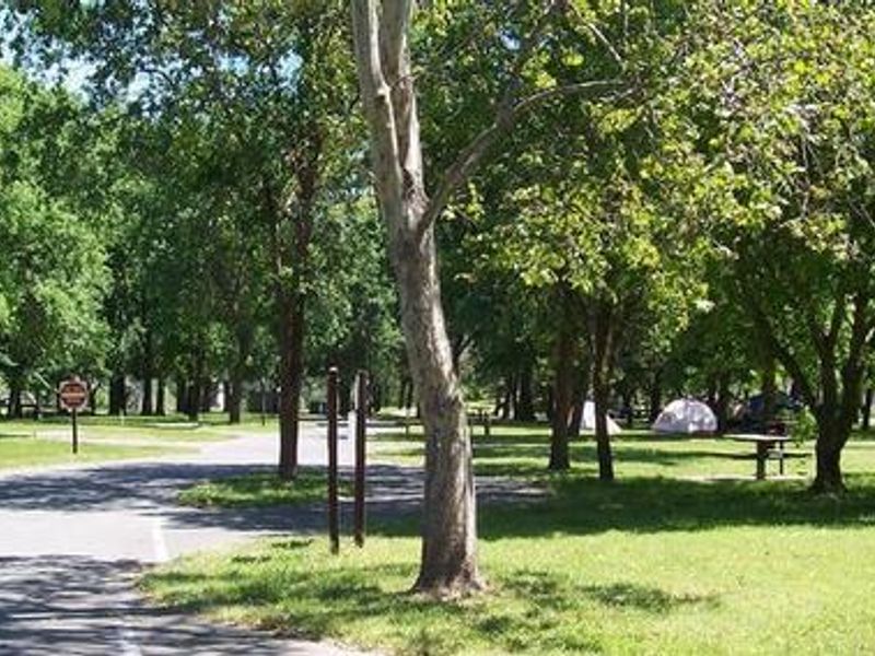 Many sites are shaded