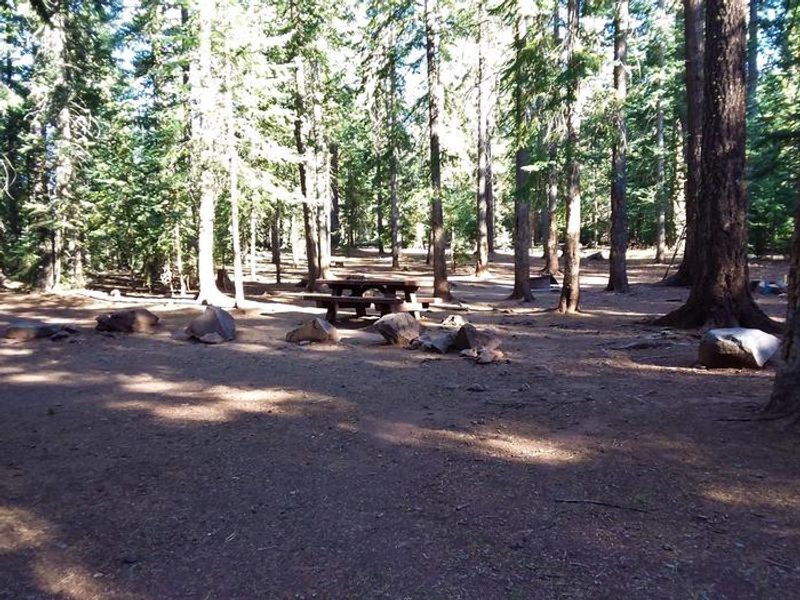 View of site 20 at Grayling Campground